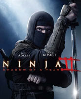 Ninja: Shadow of a Tear /  2